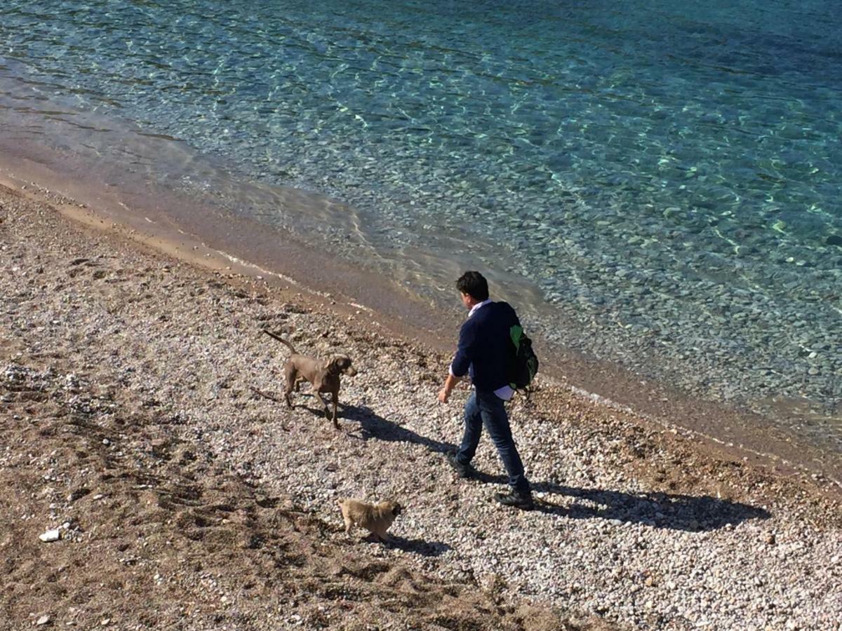Puerto de SóllerCa Na Jbアパートメント エクステリア 写真